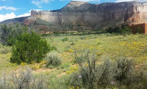 View from the Ghost Ranch